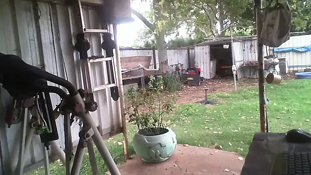 herbie010666 online show from February 2026 06:40:02 AM