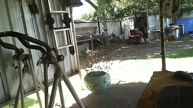 herbie010666 online show from March 2025 05:33:01 AM
