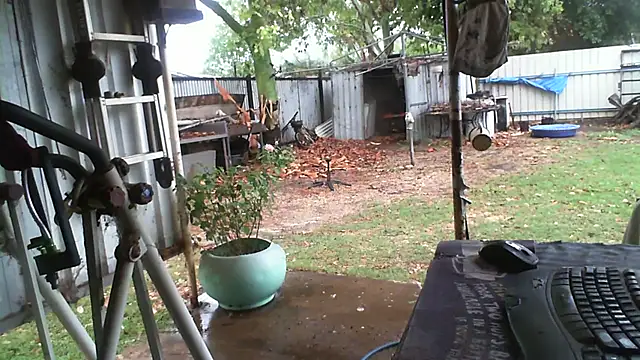 herbie010666 online show from November 2025 04:05:02 AM