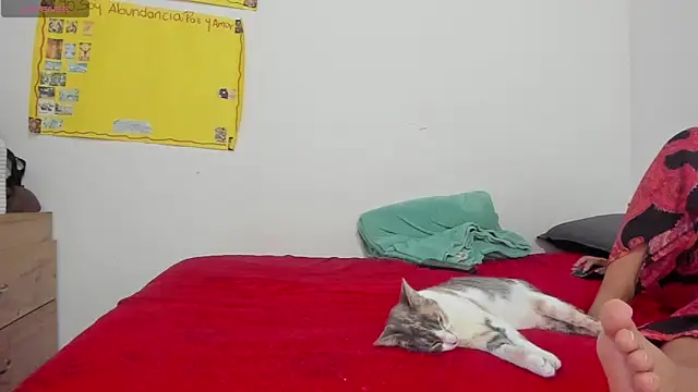 Hela wet online show from November 2025 05:35:01 PM