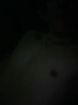 diego3276 online show from November 2025 07:12:01 AM