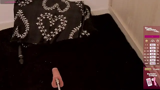 valery adams1 online show from April 2026 04:25:01 AM