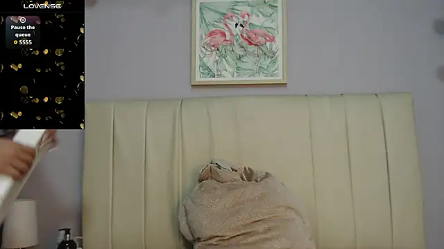 amy le01 online show from November 2025 01:26:02 PM