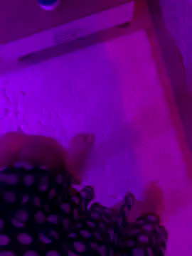 xsanchx online show from October 2025 01:20:01 PM