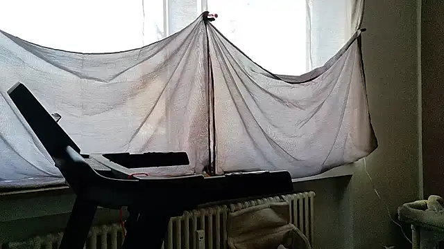 wetgerman 2 online show from March 2026 12:49:01 PM