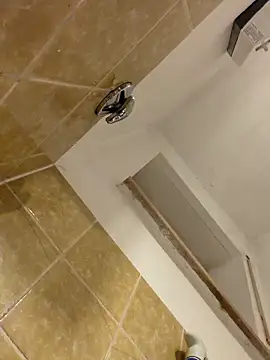 wetgerman 2 online show from March 2026 02:04:02 AM