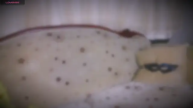 Snapshot of MERA_arab chatting on January 2025 08:09:01 PM MERA arab online show from January 2025 08:09:01 PM