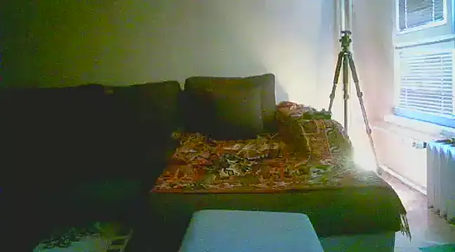 Snapshot of Power_Art chatting on January 2025 02:11:01 PM Power Art online show from January 2025 02:11:01 PM