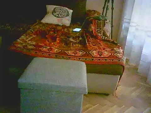 Snapshot of Power_Art chatting on March 2025 03:23:02 PM Power Art online show from March 2025 03:23:02 PM