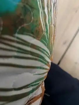 ROBOSTALLION online show from April 2026 12:01:01 PM