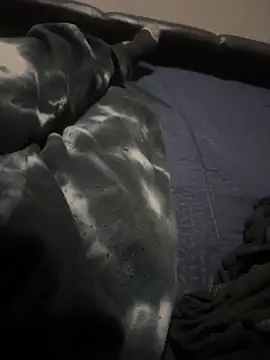 ROBOSTALLION online show from April 2026 06:09:02 PM