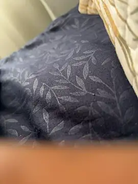 ROBOSTALLION online show from April 2026 11:39:01 AM