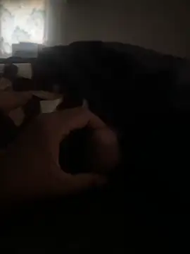 ROBOSTALLION online show from April 2026 05:10:02 AM