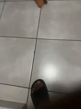 ROBOSTALLION online show from April 2026 09:27:02 PM