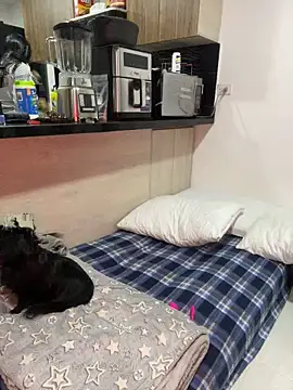 Dubois Amy online show from February 2025 09:30:02 PM