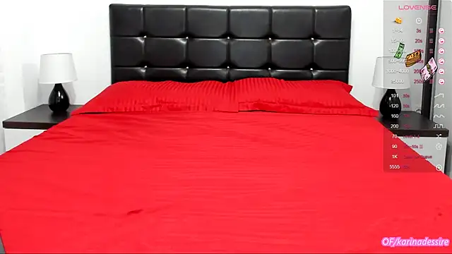 Snapshot of karinamadnessdesiree chatting on January 2025 01:11:02 PM karinamadnessdesiree online show from January 2025 01:11:02 PM