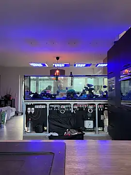 newMichelle online show from March 2026 07:12:02 AM