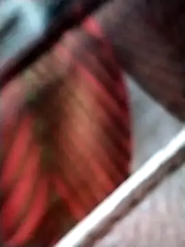 Keyla01  online show from November 2025 10:42:02 AM