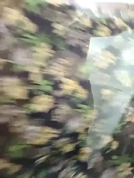 yoursana- online show from October 2025 04:55:02 AM