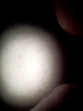 commonjust online show from November 2025 05:18:02 AM