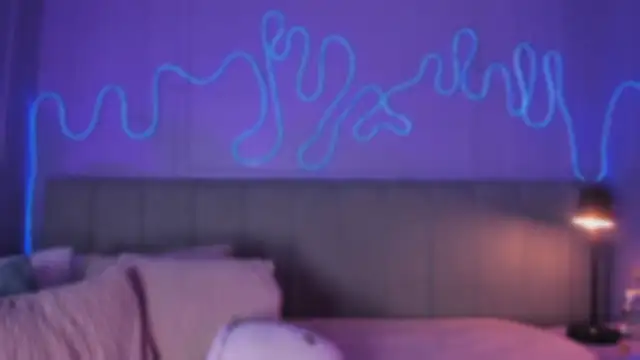 Sofly s online show from February 2026 01:55:01 PM