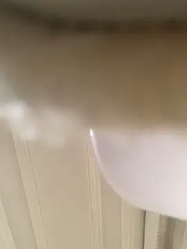 GHsveter online show from March 2026 10:50:01 AM