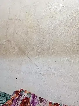 wet babexxx online show from October 2025 02:55:01 AM