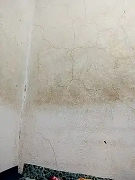 wet babexxx online show from November 2025 06:55:01 PM