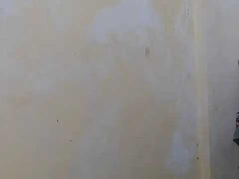 Alliayah Hollyx online show from October 2025 05:05:01 PM