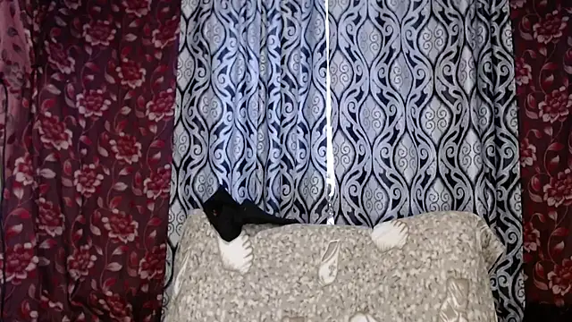 EmilyDoth online show from November 2025 04:34:02 AM