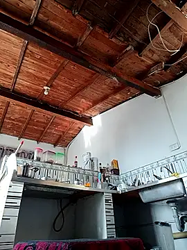 Bigassmommy x online show from January 2026 02:55:02 PM