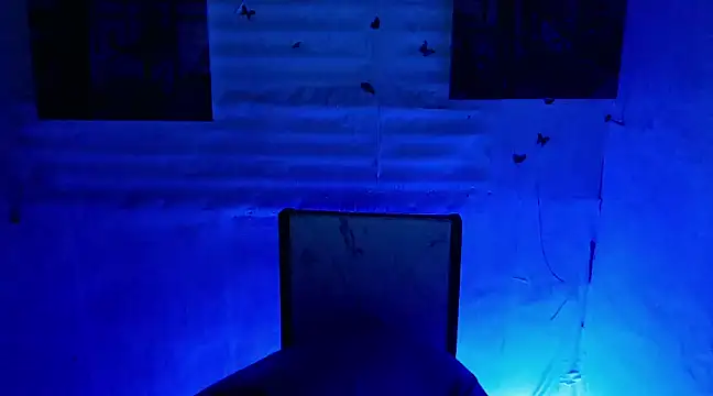 Snapshot of bbygrl_Carol chatting on January 2025 10:32:01 AM bbygrl Carol online show from January 2025 10:32:01 AM