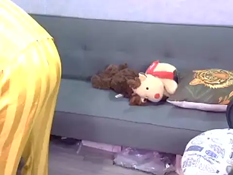 Bee 2k online show from May 2026 04:17:02 AM