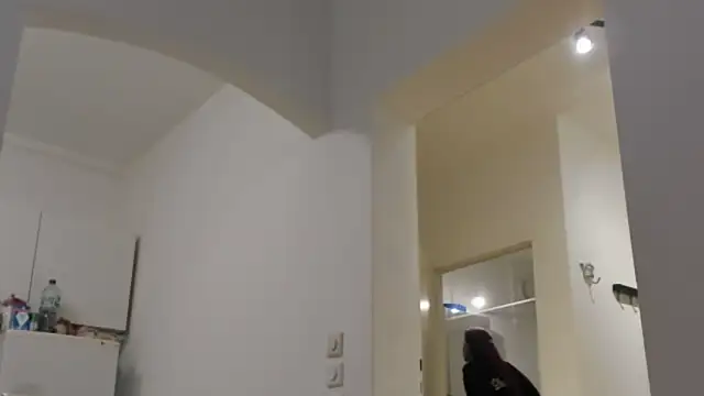 Snapshot of tamarapervert chatting on November 2025 06:52:02 PM tamarapervert online show from November 2025 06:52:02 PM