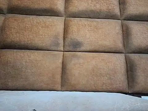 Aroused Tenancy online show from December 2024 09:07:01 PM