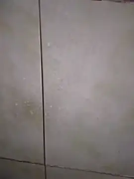 Xxxfill online show from November 2025 03:40:01 AM