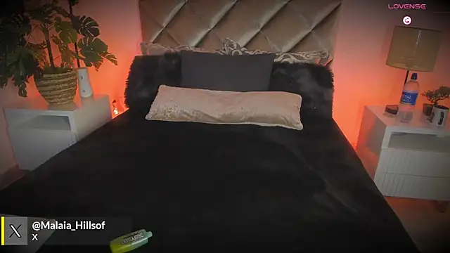 malaia hills online show from February 2026 07:22:01 PM