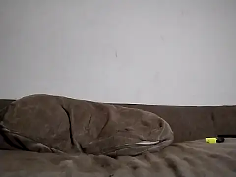 247Srokin online show from March 2026 08:32:01 AM