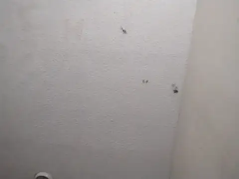 247Srokin online show from March 2026 07:24:01 AM