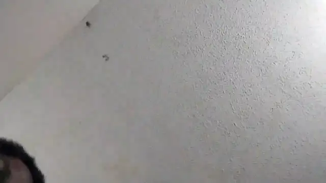 247Srokin online show from March 2026 11:00:01 PM