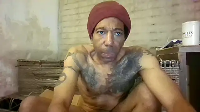 247Srokin online show from November 2025 08:24:01 AM