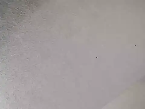 247Srokin online show from January 2026 04:32:01 PM