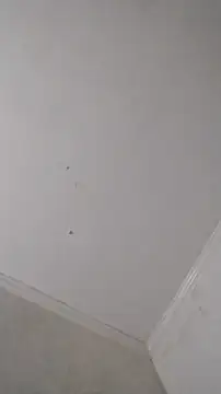 247Srokin online show from October 2025 09:08:01 AM