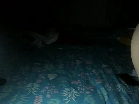 Sexyrkv91 online show from December 2025 08:04:02 PM