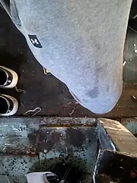 Wero4200 online show from March 2026 12:42:02 AM