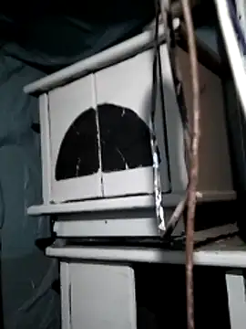 Wero4200 online show from February 2026 09:19:01 AM