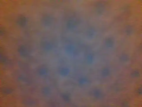 xsexy on91 online show from February 2025 08:34:02 PM