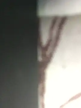 JessicaSissySlut69 online show from March 2025 08:34:01 AM