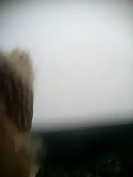 Snapshot of shaynarg chatting on March 2025 08:27:01 PM shaynarg online show from March 2025 08:27:01 PM