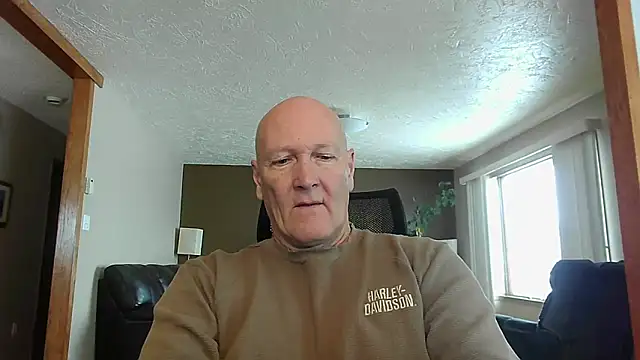 BasicAnt online show from November 2025 03:45:01 PM